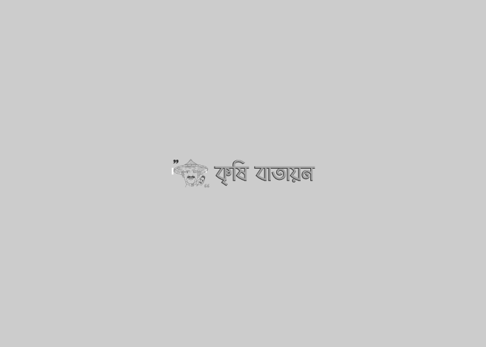 কোম্পানীগঞ্জে ৫দিন ব্যাপী কৃষি প্রযুক্তি ও বৃক্ষ মেলা উদ্বোধন